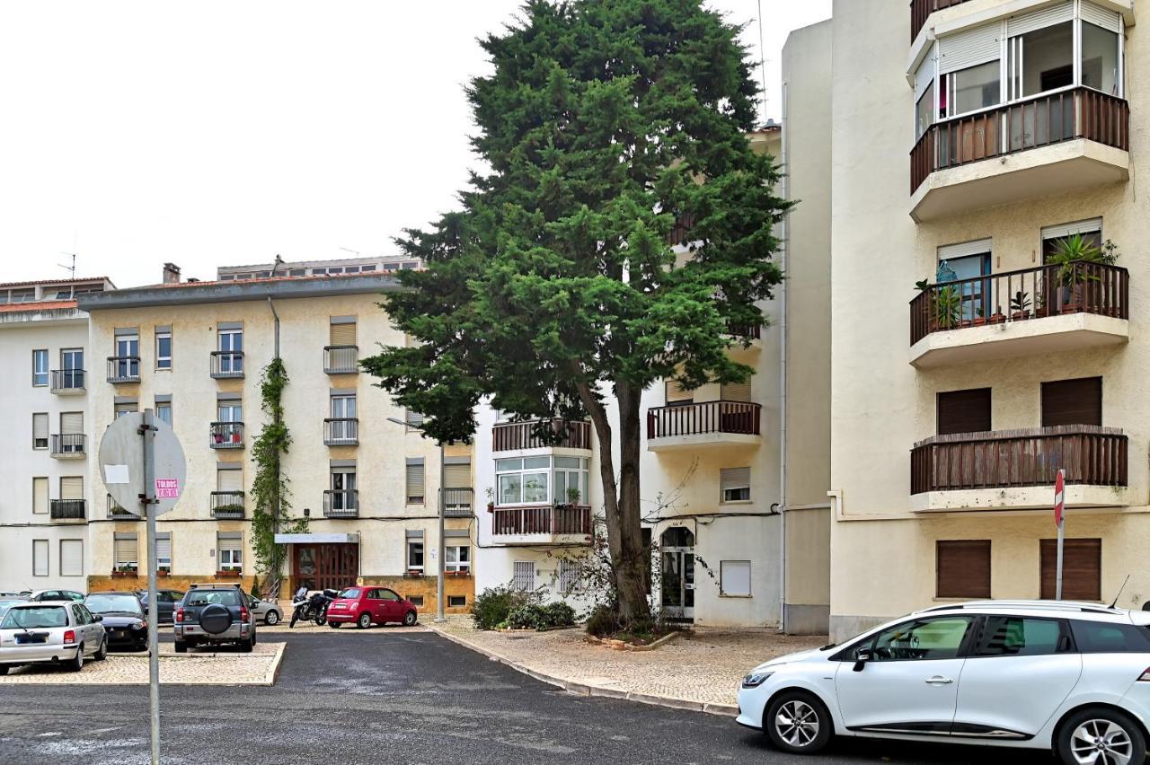 Cascais Studio Outdoor Patio Newly Renovated Exterior foto